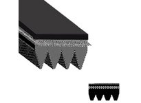 Jason 1279J4EL POLY V ELASTICHE