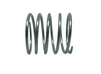16584 SPRING-1.6 OD X 4.55 X .13 WS | YarinInd