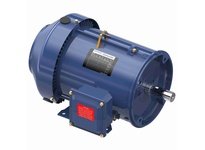 Marathon GT1862 184TTFBD6000 5 3600 TEFC 184T 3/60 | YarinInd