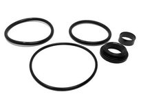 Flowtrend 119389 2129273 SVP2000 C/O 2.5" EPDM X290E | YarinInd