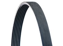 Carlisle 2560M12 V-Ribbed Belt | Durable Industrial Solution