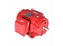 Marathon U553 284TSTDBD4002 30 3600 DP 284TS 3/60/230/460