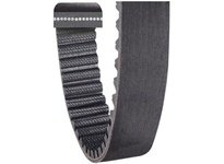 Timken Belts (Carlisle) 4200-20MPT-340 Panther Plus 20Mm Cut Belt