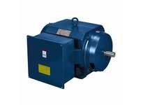 Marathon 5010STDSL16001 Y9015 MODEL-IHP, 700HP, 2P, ODP, 5010S, 3/60/460, BI/DE, 120VSH, WRTD-SH, BRTD PROV