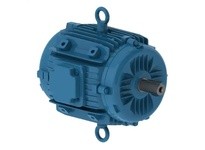 WEG 02518ET3EPM284/6Y-W2 25HP 1800 3 60 230/460 PM | High-Performance Motor