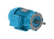 WEG 02518ET3H284JM-W22 25HP 1800 3 60 575 Close C-TEFC