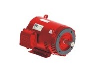 WEG 02536OP3VFP256T-S 25HP 3600 3 60 200/400 FirePump-ODP | YarinInd