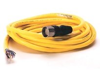 Allen Bradley 889M-F12AHMU-3 Patchcord