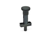 JWWINCO 8W20LGG GN817.3-8-20"-C Indexing Plunger w | YarinInd
