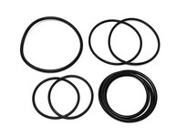 Flowtrend 118522 025P900.4200-02 ORg Kit EPDM Model 125 (900k) | Quality Industrial Supplies