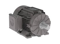 Techtop GX3-AL-TF-145T-6-B-D-1 1 HP 1200RPM 208-230/460 V | Durable Three Phase Motor