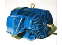 Teco-Westinghouse XP1258R AEHHXV/AEHHXU TEXP EXPLOSION PROOF HP: 125 RPM: 900 FRAME: 447T
