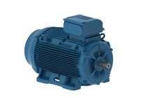 WEG 03009EP3Y250S/M-W22 30KW 900 3 60/50 460 IEC-CI