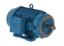 WEG 03012ET3E326TC-W22G 30HP 1200 3 60 208-230/460 | YarinInd