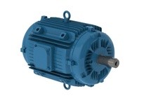WEG 03012ET3EPM324/6Y-W2 30HP 1200 3 60 230/460 W22