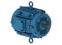 WEG 03018ET3EPM284/6Y-W2 30HP 1800 3 60 230/460