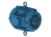 WEG 05018ET3EPM324/6Y-W2 50HP 1800 3 60 230/460