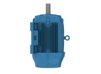 WEG 05018ST3QAP326T-W22 IEEE 841 PETROCHEM MOTOR 50HP 4P | Reliable Motors