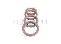 Flowtrend 118682 050P510.4400A1 Lip Seal FPM Mod150 (510)