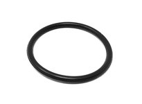 Flowtrend 118975 0884064 O-Ring Valve Body EPDM | High-Quality Industrial Supplies