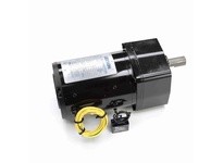 Leeson 096002.00 0.08 HP AC Gearmotor, 1 Phase, 14 RPM | YarinInd