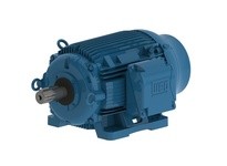 WEG 10012ET3ECT444T-W22 100HP 1200 3 60 208-230/460V Cooling-TWR