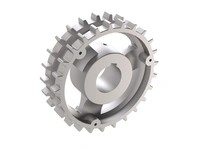 Rexnord 401-162-11 10028821 820 Cast-Iron Non-Split Sprocket CI820 Sprockets 25T 6.03in PD 153.2mm