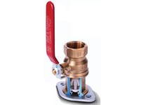 Bell & Gossett 101233 CHECK-TROL 1-1/4 NPT FLANGE SET CTF-1-1/4