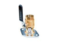 Bell & Gossett 101233LF CHECK-TROL FLANGE SETS NPT & Sweat Connections | High-Quality Supplies