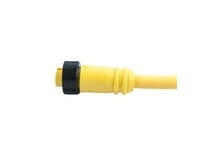 Remke 102B0120AP Mini-Link Plug Assembly PVC Male 2 Pole 12ft 16 AWG | Industrial Supplies