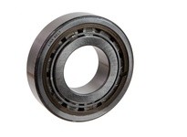 Link-Belt (Rexnord) MU1310TV 10320311 Link-Belt (Rexnord) BEARING #50 mm Cylindrical Roller Bearing with double rib inner ring, 