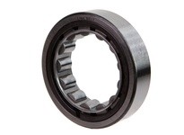 Link-Belt (Rexnord) M1315UV 10474205 OR&RASeries 1300 | Outer Ring & Roller Assemblies