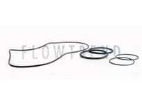Flowtrend 122171 105292 U1 Mod 220 O-Ring Kit FPM Sgl | High-Quality Industrial Supplies