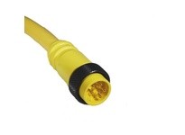 Remke 106BB0200AP Mini-Link Plug Assembly PVC Male 6B Pole 20ft | Industrial Supplies