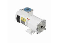 Leeson 108228.00 0.75 HP Washdown Duty DC Motor, 1750 RPM, 90 V, 56C Frame, TENV0.75 HP Washdown Duty DC Motor, 1750 RPM, 90 V, 