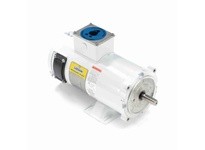 Leeson 108229.00 0.75 HP Washdown Duty DC Motor, 1750 RPM | Industrial Supplies