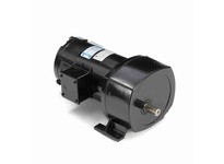 Leeson 108702.00 0.25 HP DC Gearmotor, 18 RPM, 90 V | High-Performance Gearmotor