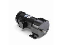 Leeson 108709.00 0.50 HP DC Gearmotor, 42 RPM, 90 V, 48Y Frame, TEFC0.50 HP DC Gearmotor, 42 RPM, 90 V, 48Y Frame, TEFC