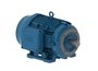 Goulds 10SV20NM4F60 25HP 2/60/3 TEPE 580 20STG | High-Performance Pump