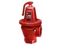 Bell & Gossett 110034 2 30PSI Relief Valve 4100K | High-Quality Industrial Supplies