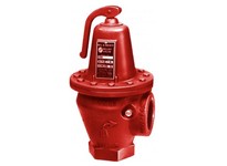 Bell & Gossett 110085 4100-45 ASME SAFETY RELIEF VALVES