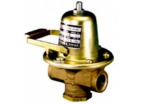Bell & Gossett 110192LF FB-38 1/2 NPT Pressure Reducing Valve | Fast Fill Feature