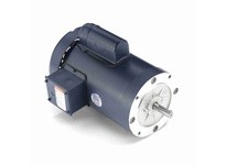 Leeson 110422.00 2 HP General Purpose Motor, 1 phase, 3600 RPM, 115/208-230 V, 56C Frame, TEFC2 HP General Purpose Motor, 1 phas