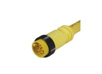 Remke 110B0030AP Mini-Link Plug Assembly PVC Male 10 Pole 3ft 16 AWG