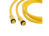 Remke 110G0200AP Mini-Link Cable Assembly PVC Male/Female 10 Pole 20ft 16 AWG