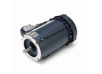 Leeson 111097.00 0.75 HP Explosion Proof Motor | 1 Phase, 3600 RPM