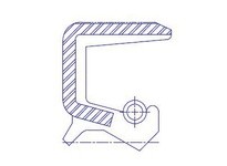 Dichtomatik 1118443TEM-BX OIL SEAL