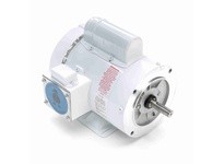 Leeson 113582.00 0.75 HP Washdown Motor, 1 Phase, 3600 RPM | YarinInd