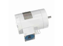 Leeson 113590.00 1 HP Washdown Motor, 3 Phase, 3600 RPM | YarinInd
