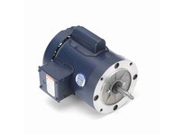 Leeson 113955.00 0.50 HP Jet Pump Motor, 1 Phase, 3600 RPM | YarinInd